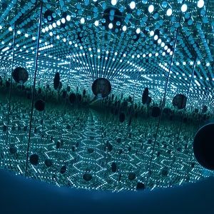 Meet your Posher, Phoebe